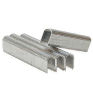 10mm White CT45 Staples (1000)