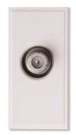 Single F Connector Module