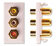3x RCA (Yellow, Red, White) Module