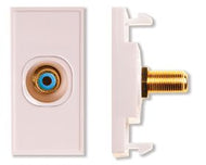 Single Blue RCA Module