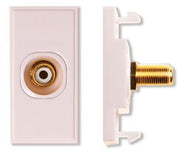 Single White RCA Module
