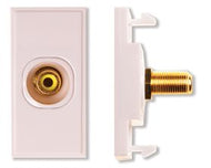 Single Yellow RCA Module